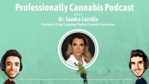 My Conversation with Global Cannabis Intelligence: The Evolving Cannabis Landscape in Latin America
