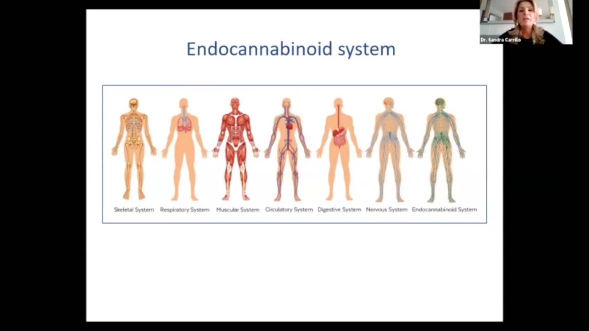 Cannabis Investing Forum 12/10/20 – Dr. Sandra Carrillo